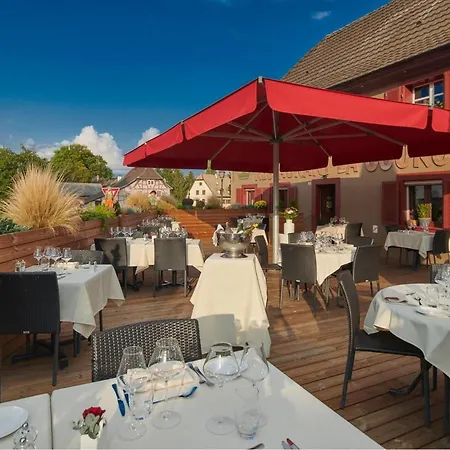 Or Avec Sauna Privatif Et Cuisine Equipee - Ideale Pour Un Sejour Relaxant En Alsace - Fr-1-744-13 Wittersdorf